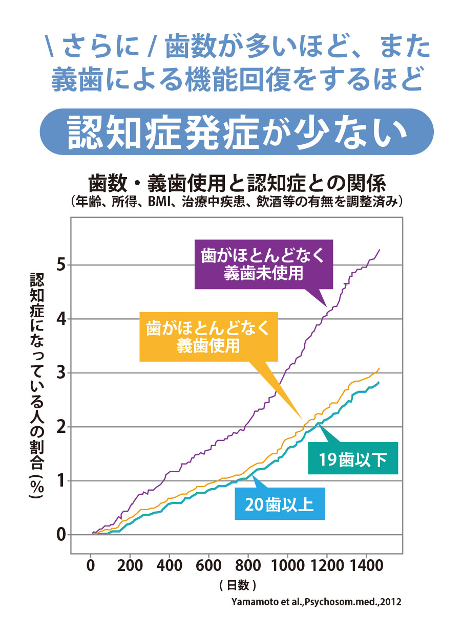 歯数が多いほど、また義歯による機能回復をするほど認知賞発症が少ない